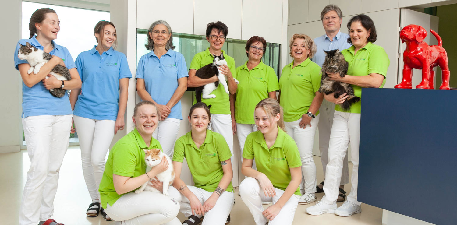 Team Tierarzt-Team Reitzinger in St. Valentin